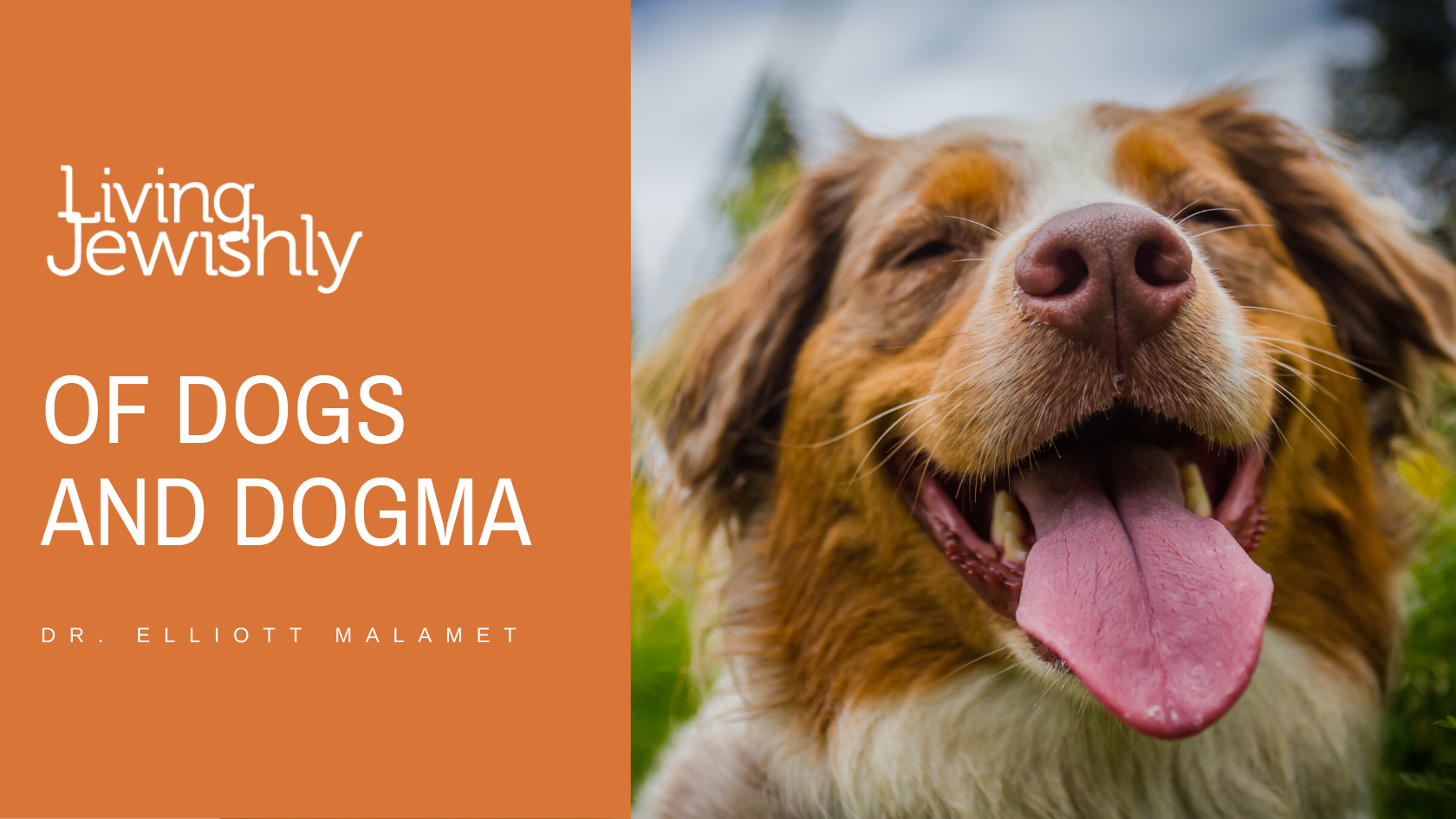 Of Dogs and Dogma